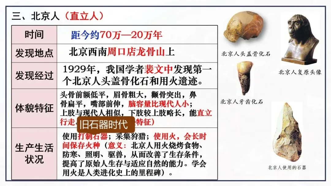 【中考历史一轮复习】第一单元 史前时期:中国境内早期人类与文明的起源 第5张