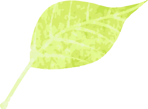 上海中考落榜的靠谱选择:超宇学校 第5张 上海中考落榜的靠谱选择:超宇学校 第5张