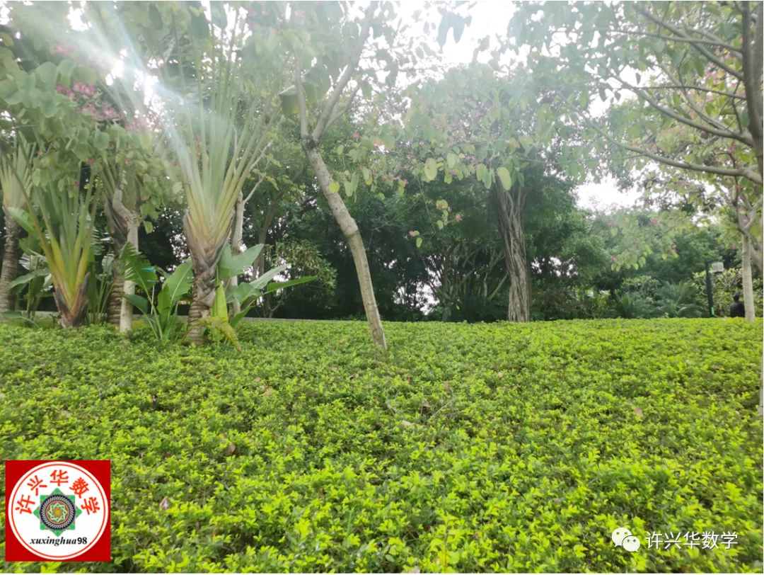 【中考数学】等腰三角形旋转背景下的几何压轴题:线段求解、菱形判定与中点情境的深度突破 第1张 【中考数学】等腰三角形旋转背景下的几何压轴题:线段求解、菱形判定与中点情境的深度突破 第1张