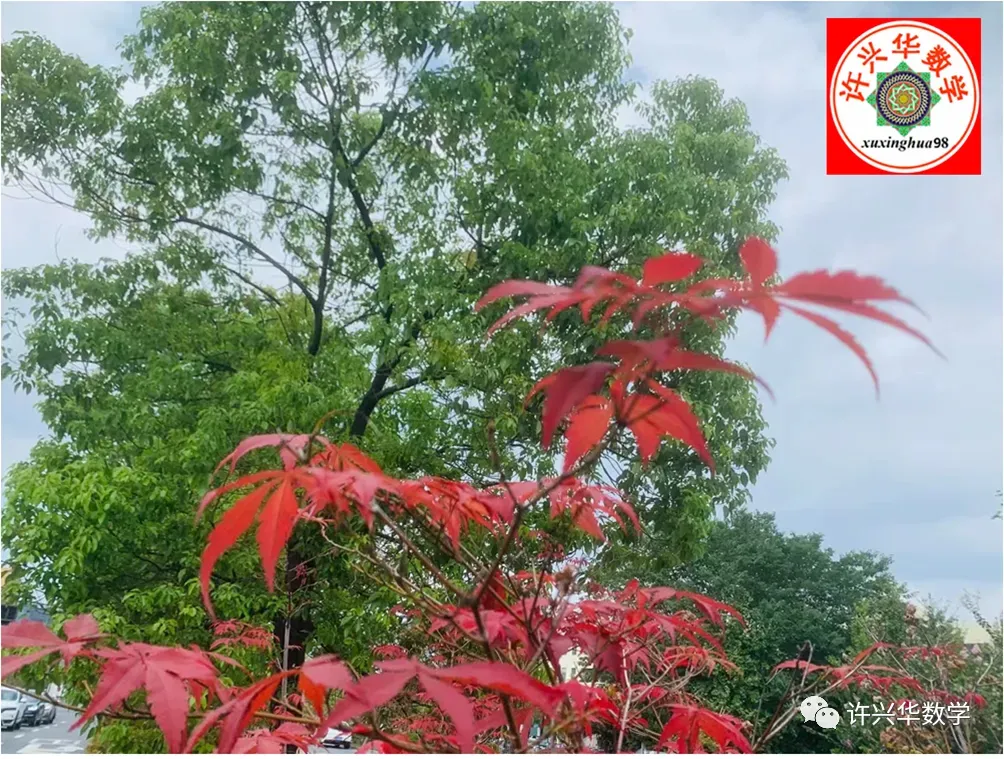 【中考数学】等腰三角形旋转背景下的几何压轴题:线段求解、菱形判定与中点情境的深度突破 第21张 【中考数学】等腰三角形旋转背景下的几何压轴题:线段求解、菱形判定与中点情境的深度突破 第21张