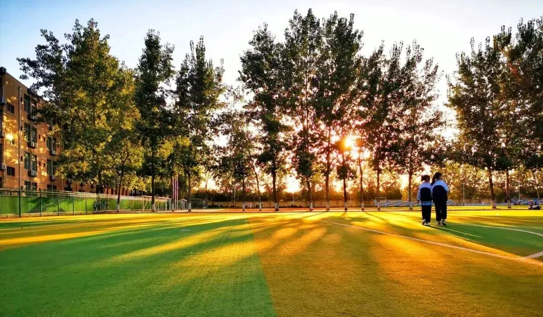 西安国际高中 | 无需中考成绩!西安博爱学校国际部2026年招生简章! 第5张