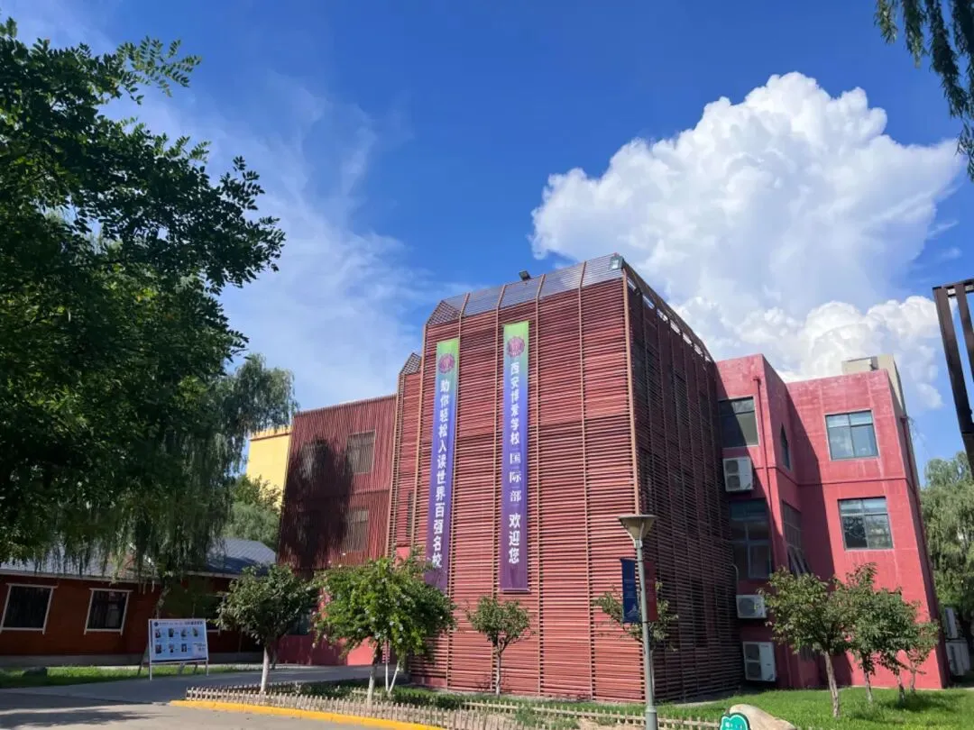 西安国际高中 | 无需中考成绩!西安博爱学校国际部2026年招生简章! 第11张