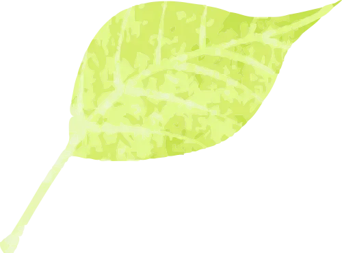 重磅!2026广州中考3.10日开始报名! 第117张 重磅!2026广州中考3.10日开始报名! 第117张