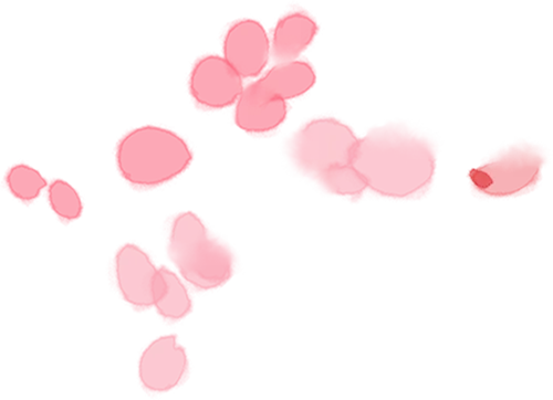 重磅!2026广州中考3.10日开始报名! 第137张 重磅!2026广州中考3.10日开始报名! 第137张