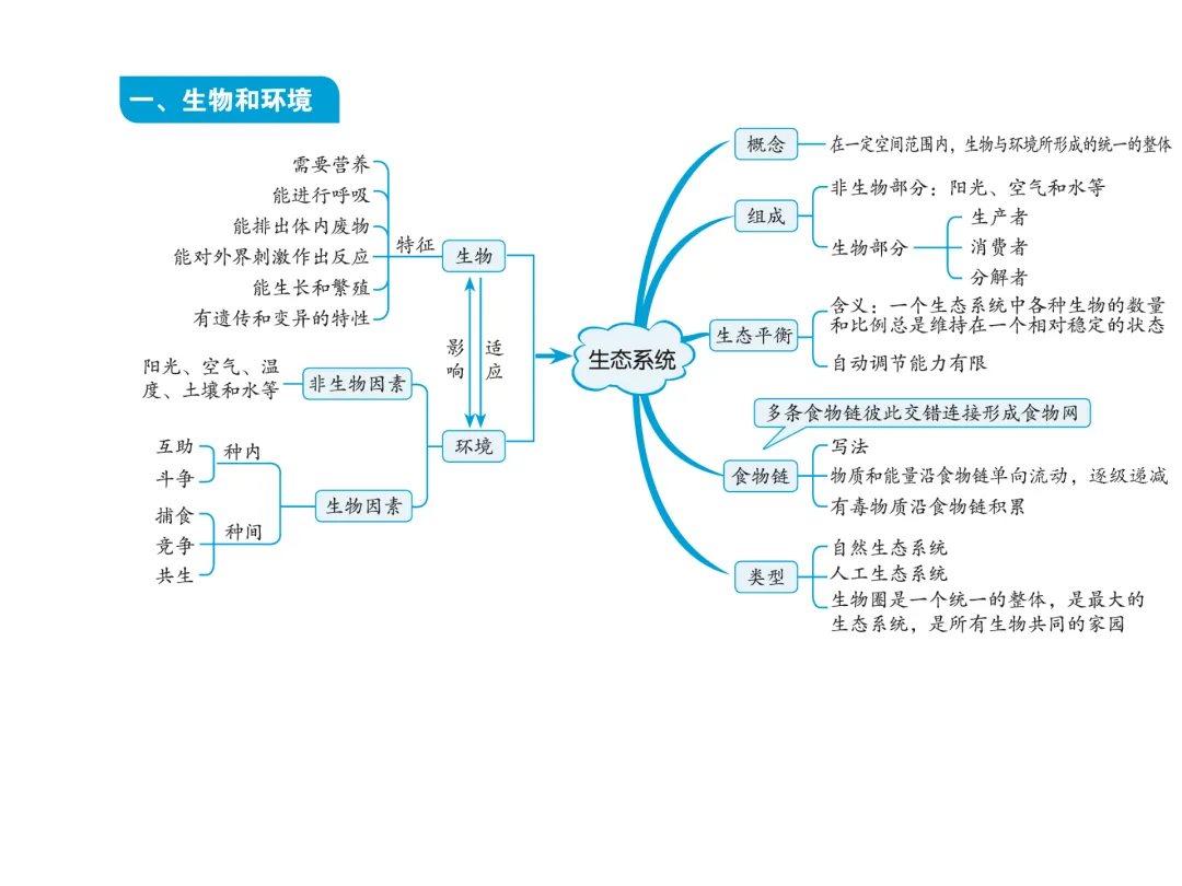 初中生物中考复习知识点思维导图 第2张