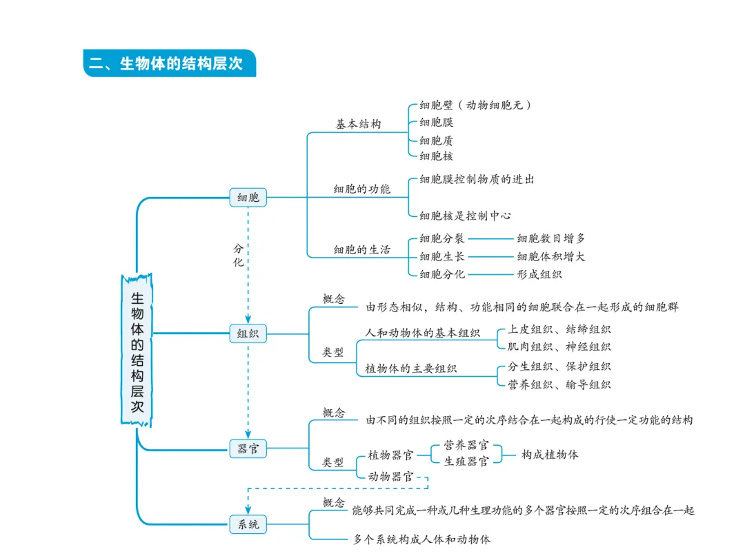 初中生物中考复习知识点思维导图 第3张