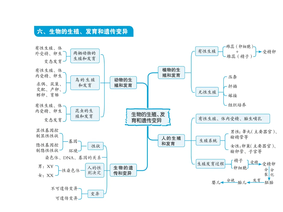 初中生物中考复习知识点思维导图 第7张
