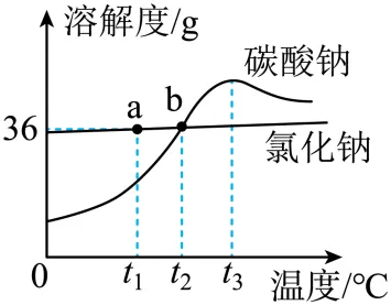 1709 化学中考一轮复习:单元+微专题(Word版) 第59张