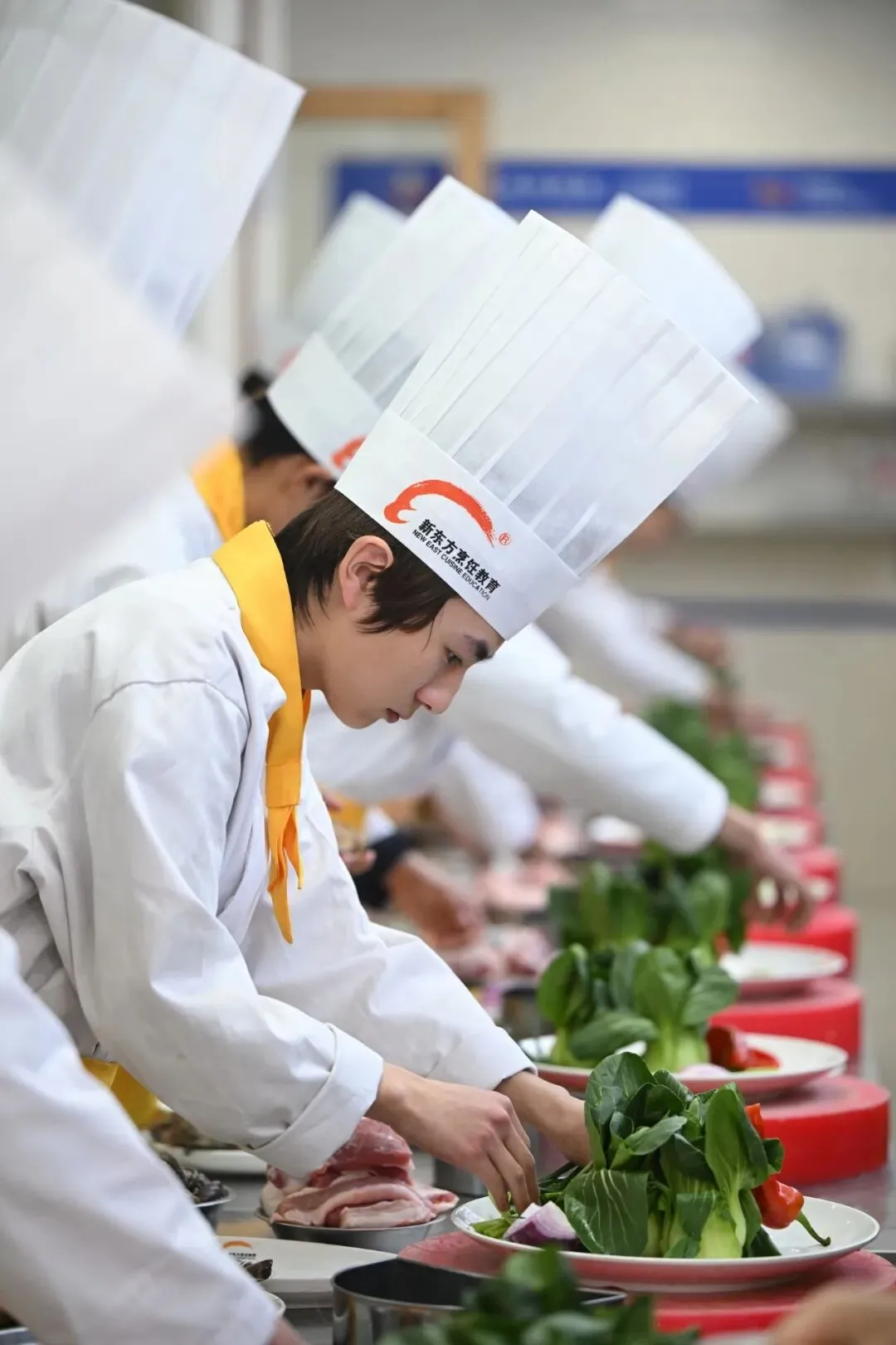 中考没把握、学不进去?家长别慌,职教这条路早规划早受益! 第11张 中考没把握、学不进去?家长别慌,职教这条路早规划早受益! 第11张