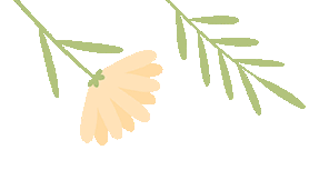 中考倒计时100天:每日时间表+3大抢分策略!现在行动还不晚 第3张