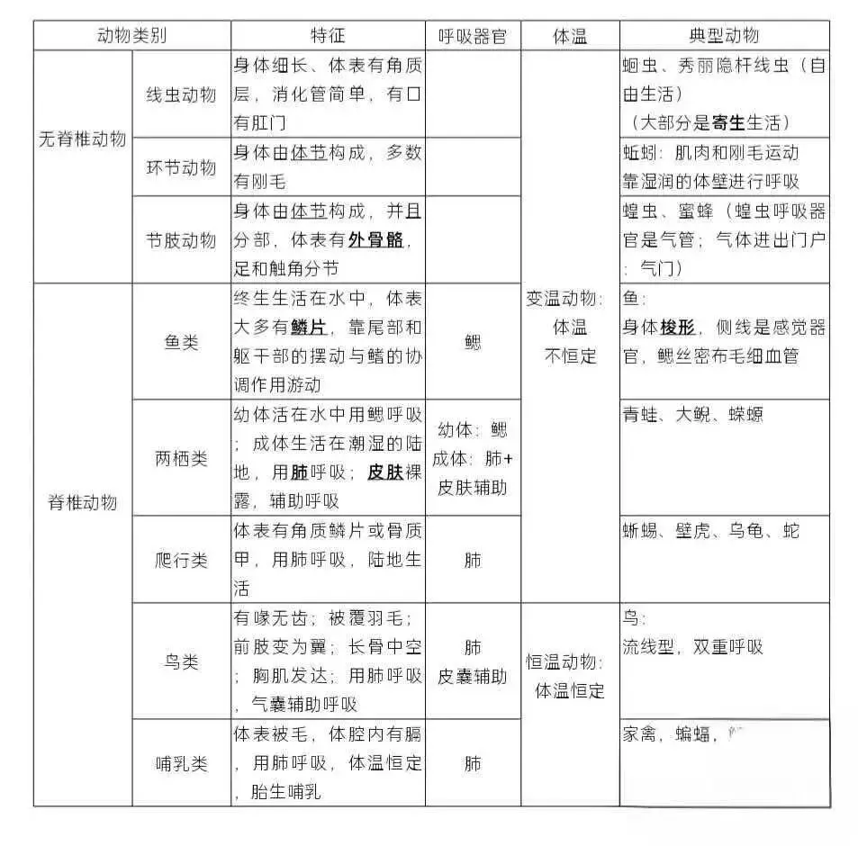 初一生物|中考必考·全册知识点(六) 第2张