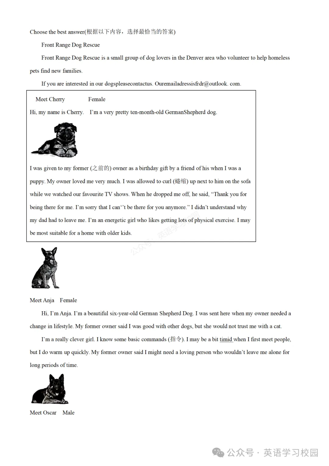 2024学年奉贤区中考二模英语试卷讲解 第12张