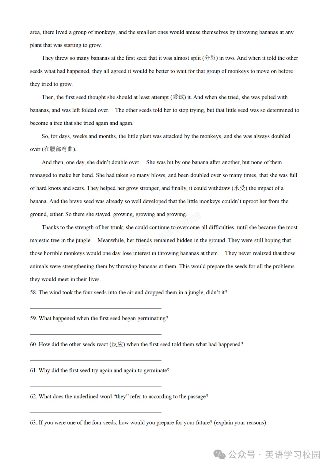 2024学年奉贤区中考二模英语试卷讲解 第19张