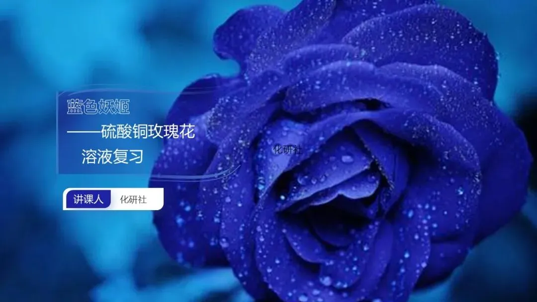 【中考化学复习课件】蓝色妖姬——硫酸铜晶体玫瑰花(溶液复习) 第2张 【中考化学复习课件】蓝色妖姬——硫酸铜晶体玫瑰花(溶液复习) 第2张