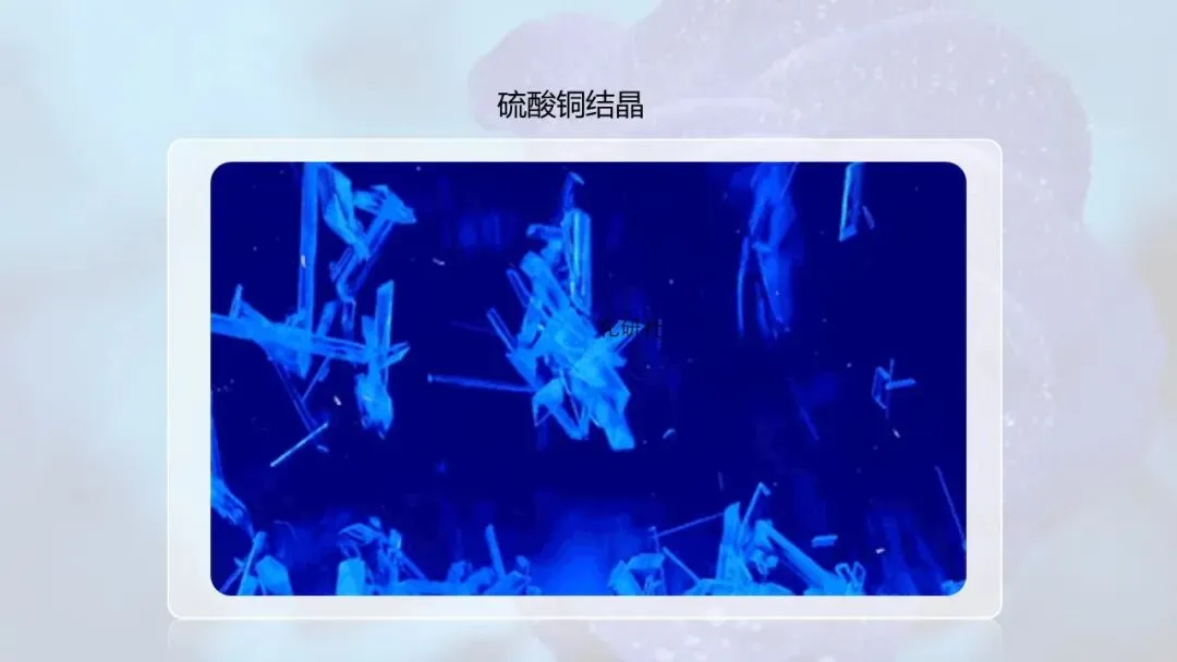 【中考化学复习课件】蓝色妖姬——硫酸铜晶体玫瑰花(溶液复习) 第11张 【中考化学复习课件】蓝色妖姬——硫酸铜晶体玫瑰花(溶液复习) 第11张