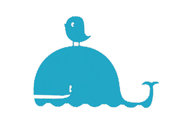 定了!2026年广州中考3月10日开始报名,报名指南请收好! 第1张