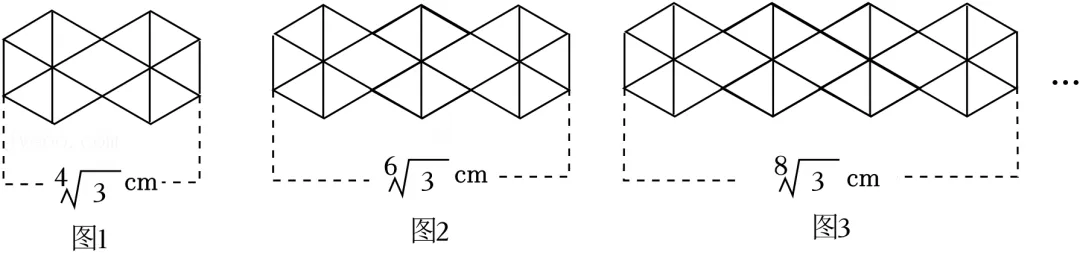 2025年安徽省亳州市中考数学模拟试卷(5月份) 第38张