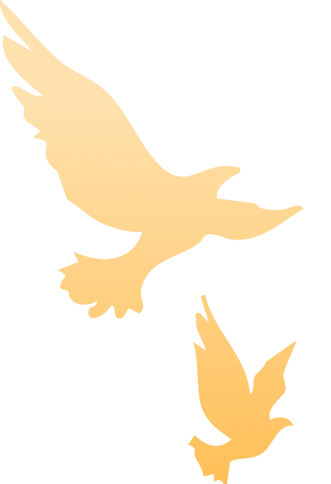 浙江中考命题解析|助你冲刺湖州中考(湖州家教招生中...) 第6张 浙江中考命题解析|助你冲刺湖州中考(湖州家教招生中...) 第6张