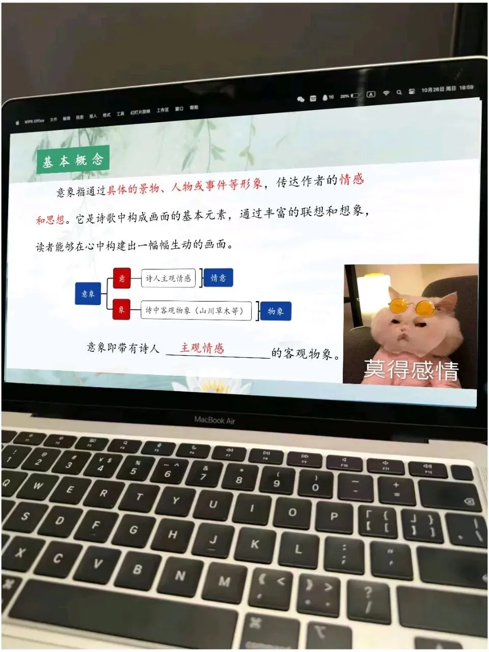 当我用趣味表情包打开中考语文古诗词鉴赏复习,原来意象与意境如此简单!! 第7张