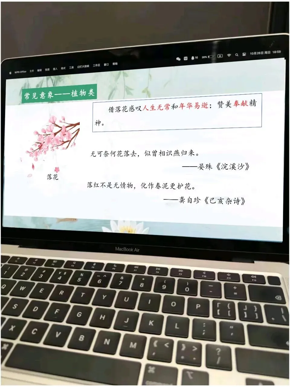 当我用趣味表情包打开中考语文古诗词鉴赏复习,原来意象与意境如此简单!! 第8张