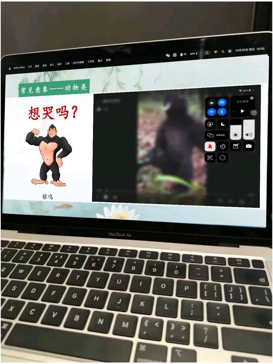 当我用趣味表情包打开中考语文古诗词鉴赏复习,原来意象与意境如此简单!! 第10张