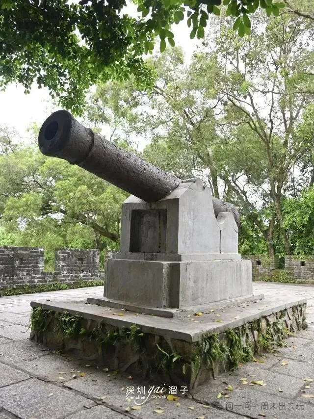 中考作文||我体会到担当的滋味 第4张