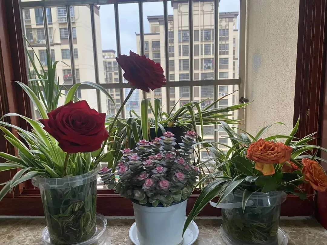 ||中考倒计时109天 由俭入奢易 第2张