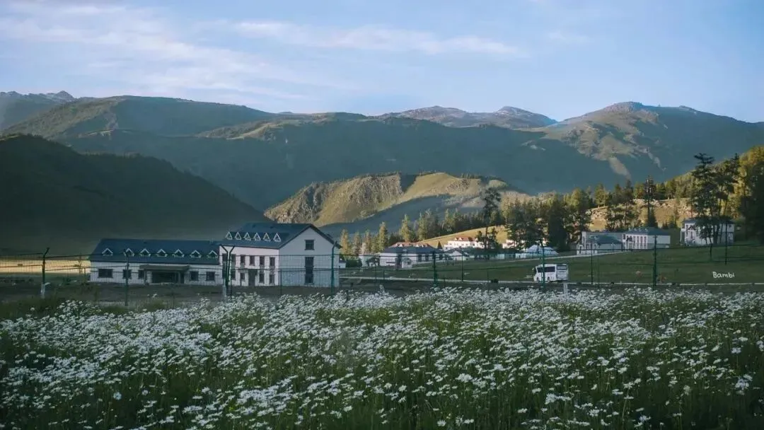 【写作平台】2026中考语文作文押题预测:《_______拨动了我的心弦》 第2张