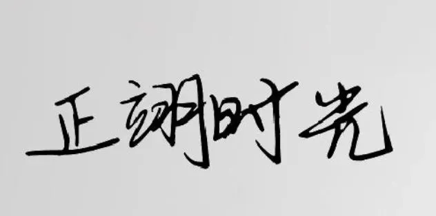 给中考那年的自己的一封信 ℓ 叶思羽同学优秀周记展示 正翊学子风采 第1张 给中考那年的自己的一封信 ℓ 叶思羽同学优秀周记展示 正翊学子风采 第1张