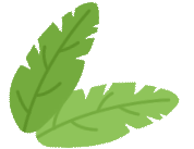 给中考那年的自己的一封信 ℓ 叶思羽同学优秀周记展示 正翊学子风采 第7张 给中考那年的自己的一封信 ℓ 叶思羽同学优秀周记展示 正翊学子风采 第7张