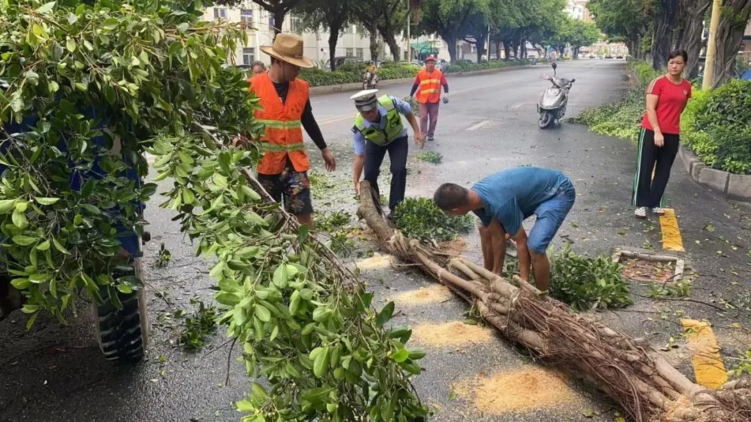 中考首日,惠来交警再度开启“护考”模式 第15张