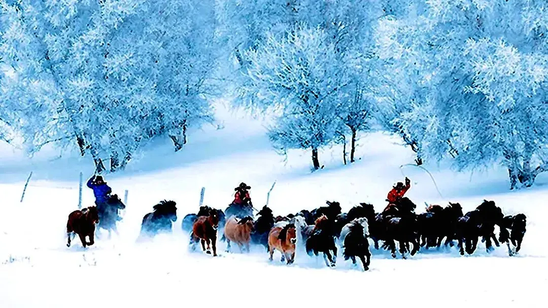 中考名著导读葵花宝典|《林海雪原》杨子荣杨宗贵是怎么牺牲的? 第8张 中考名著导读葵花宝典|《林海雪原》杨子荣杨宗贵是怎么牺牲的? 第8张