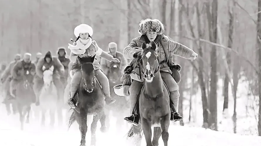 中考名著导读葵花宝典|《林海雪原》杨子荣杨宗贵是怎么牺牲的? 第19张 中考名著导读葵花宝典|《林海雪原》杨子荣杨宗贵是怎么牺牲的? 第19张