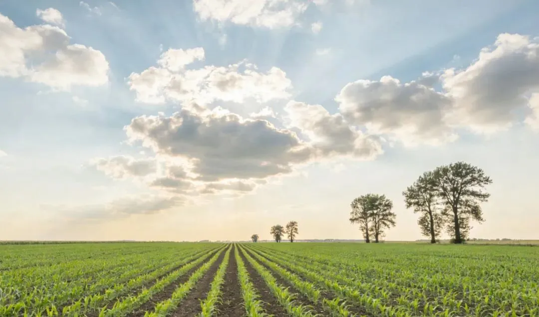 中考热点作文|幸福,在乡间流淌(以小见大) 第1张 中考热点作文|幸福,在乡间流淌(以小见大) 第1张