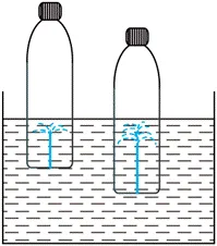 中考物理必考实验--探究液体压强与哪些因素有关 第3张