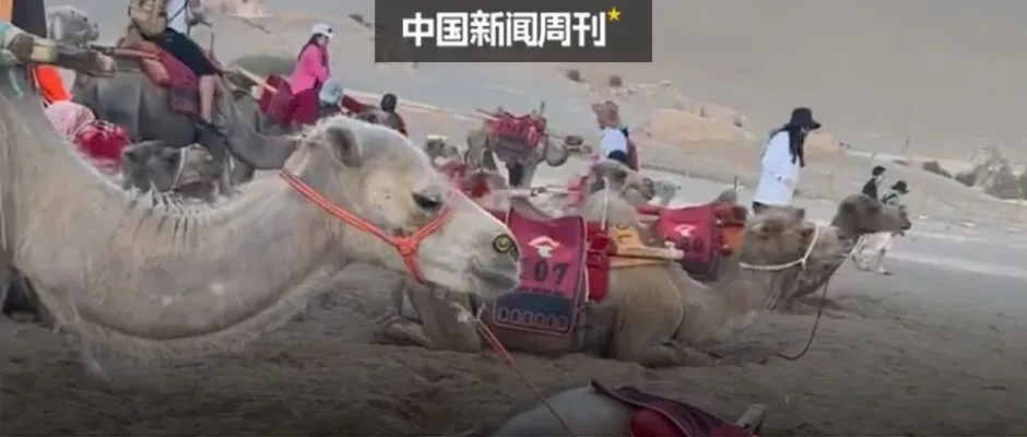 西安中考“回流生”事件背后 第5张