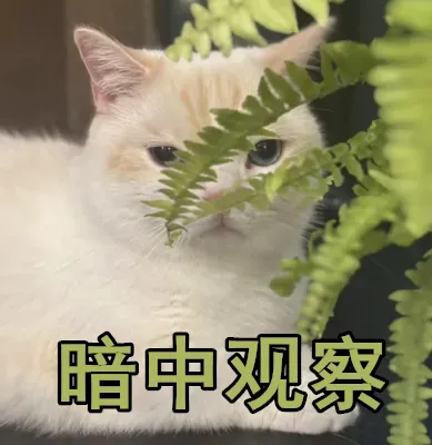 中考报名即将开始!回岛外户籍地报名,比较容易上普高? 第2张