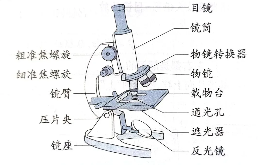 中考科学知识点复习2 第2张 中考科学知识点复习2 第2张