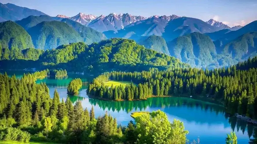 中考作文预测:用宽容融化心头的冰霜 第1张 中考作文预测:用宽容融化心头的冰霜 第1张