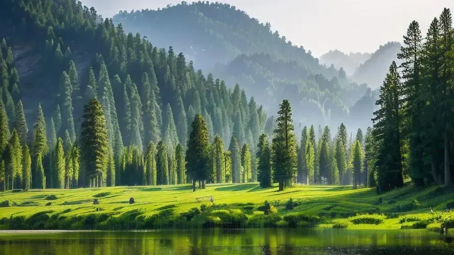 中考作文预测:用宽容融化心头的冰霜 第2张 中考作文预测:用宽容融化心头的冰霜 第2张