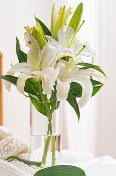 中考必背单词 第27张