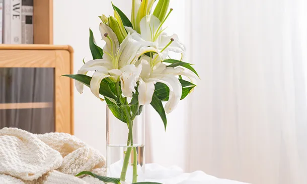 中考必背单词 第33张