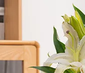 中考必背单词 第35张