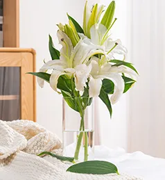 中考必背单词 第46张