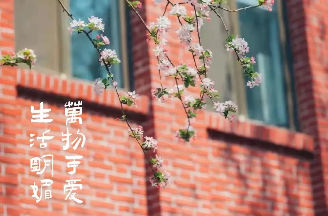 中考倒计时100天|绵中等你去赴一场青春的盛宴 第21张