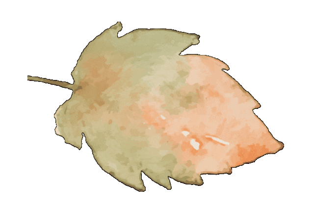 【中考复习】化学专题知识点③:金属及其性质 第11张