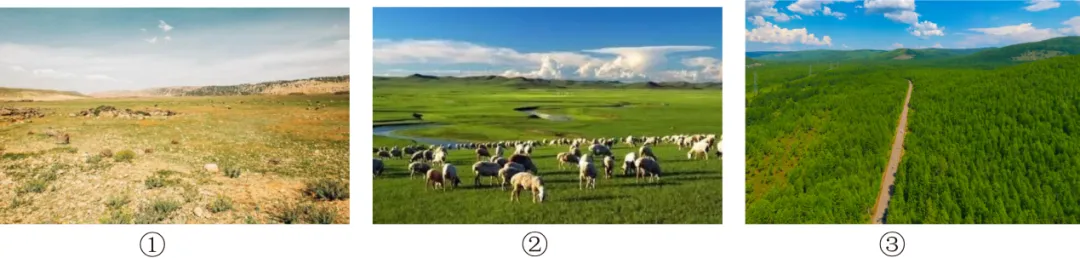 【中考地理】人教版初中地理会考真题分类训练专题11 我国的地理差异 第25张 【中考地理】人教版初中地理会考真题分类训练专题11 我国的地理差异 第25张