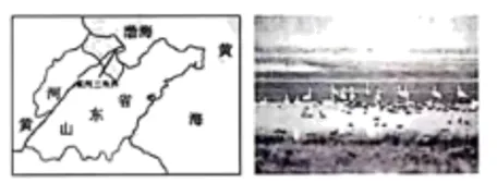 【中考地理】人教版初中地理会考真题分类训练专题11 我国的地理差异 第30张 【中考地理】人教版初中地理会考真题分类训练专题11 我国的地理差异 第30张