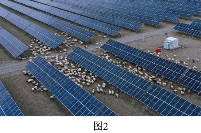 【中考地理】人教版初中地理会考真题分类训练专题11 我国的地理差异 第33张 【中考地理】人教版初中地理会考真题分类训练专题11 我国的地理差异 第33张