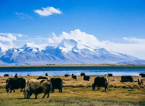 【中考地理】人教版初中地理会考真题分类训练专题11 我国的地理差异 第34张 【中考地理】人教版初中地理会考真题分类训练专题11 我国的地理差异 第34张